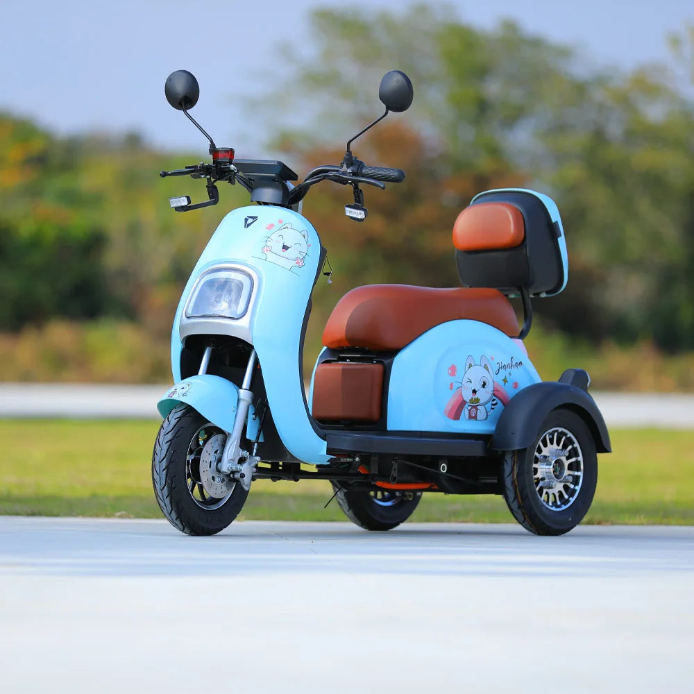 800W Electric Tricycle Family Use E-Bike 3 Wheel Electric Bike Scooter Pedicab for Adults