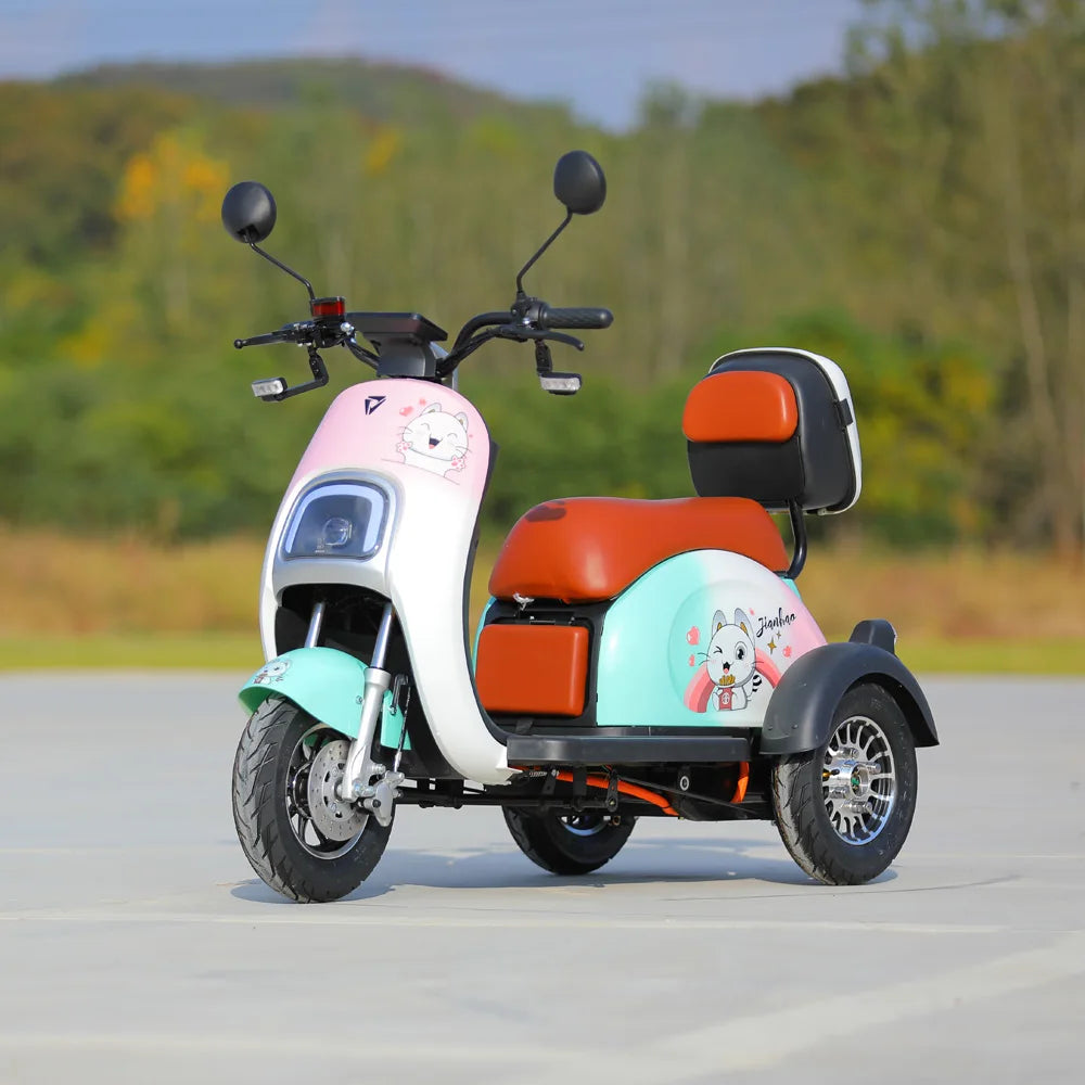 800W Electric Tricycle Family Use E-Bike 3 Wheel Electric Bike Scooter Pedicab for Adults