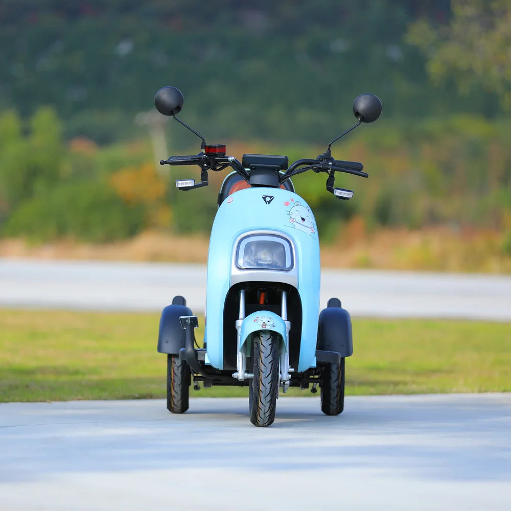 800W Electric Tricycle Family Use E-Bike 3 Wheel Electric Bike Scooter Pedicab for Adults