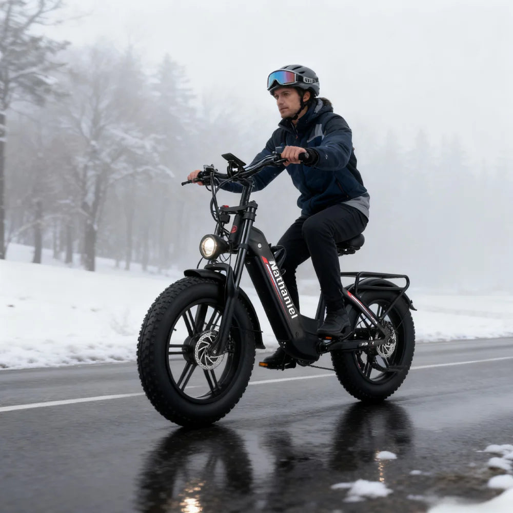 Nathaniel SYR08 E-Bike, Dual Motor 2000W, 20x4.0, 48V20AH Daily Commuting by Bicycle