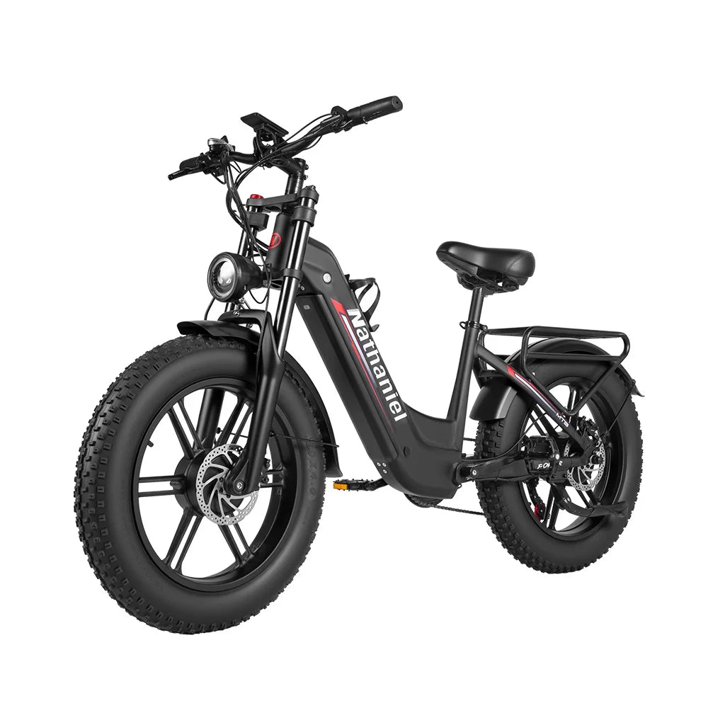 Nathaniel SYR08 E-Bike, Dual Motor 2000W, 20x4.0, 48V20AH Daily Commuting by Bicycle