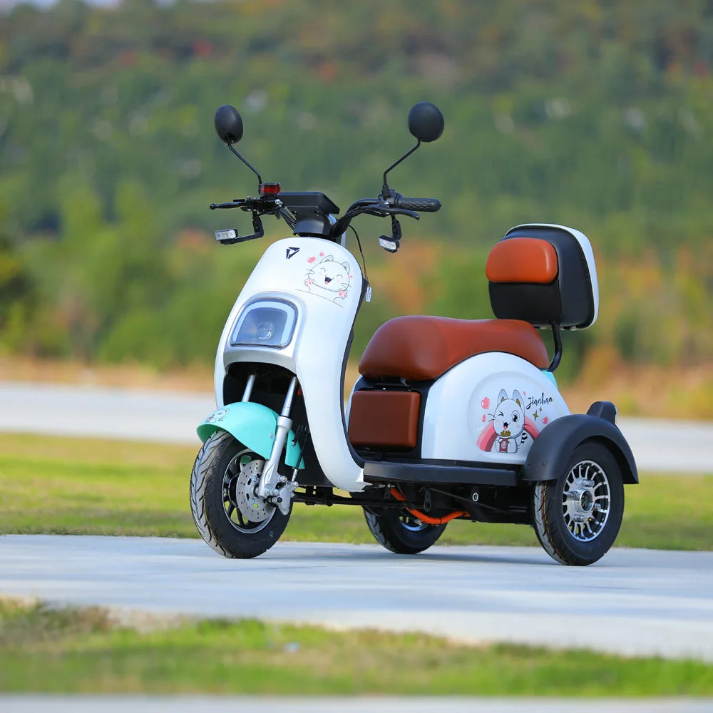 800W Electric Tricycle Family Use E-Bike 3 Wheel Electric Bike Scooter Pedicab for Adults