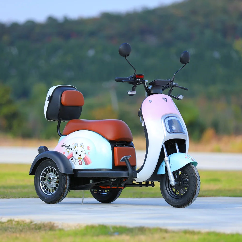 800W Electric Tricycle Family Use E-Bike 3 Wheel Electric Bike Scooter Pedicab for Adults