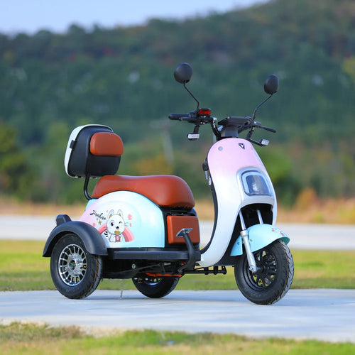 800W Electric Tricycle Family Use E-Bike 3 Wheel Electric Bike Scooter Pedicab for Adults