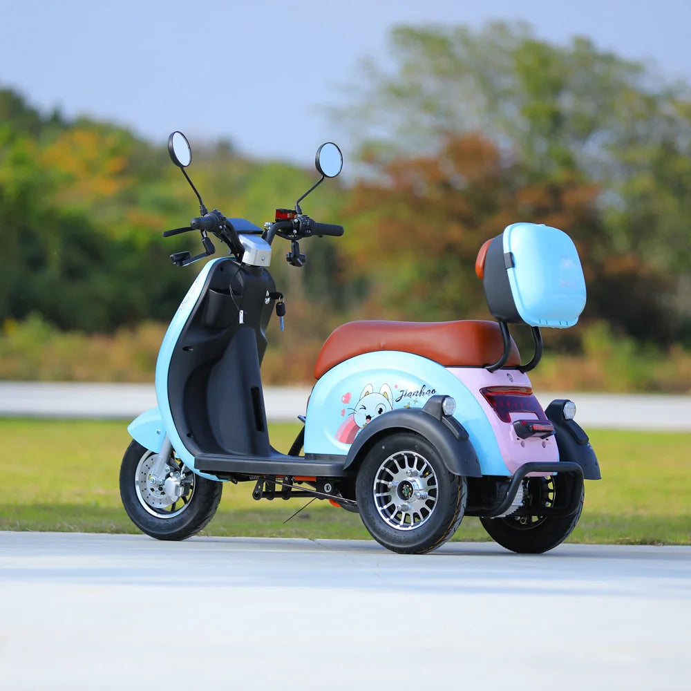 800W Electric Tricycle Family Use E-Bike 3 Wheel Electric Bike Scooter Pedicab for Adults